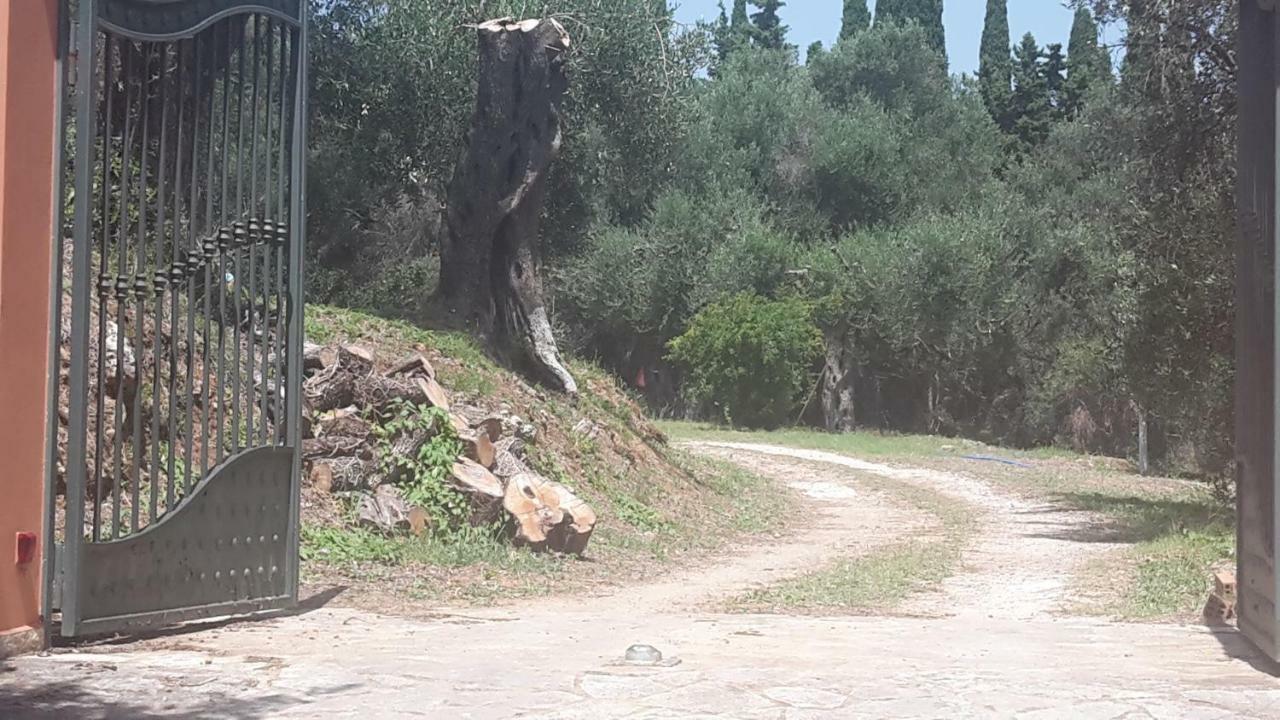 Apartmán Bella Vista Kato Korakiana Exteriér fotografie